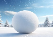 塞尔达雪球