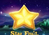 星露谷物语星之果实