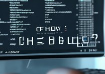 cf 怎么卡 bug？