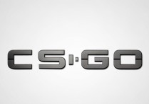 csgo全名