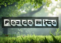 和平精英是什么游戏
