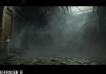 steam古墓丽影9