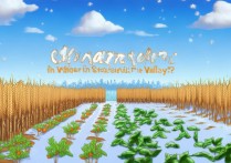 星露谷物语冬季种什么作物？