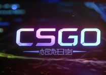 csgo国服启动