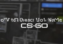 csgo怎么改名字