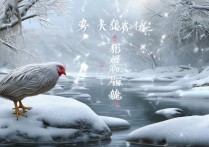 雪泥鸡爪逆水寒