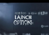 csgo国服启动项