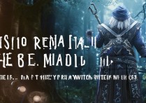 巫师 3mod 怎么安装？