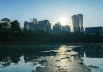 部落冲突怎么改名字