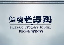 steam中国客服电话